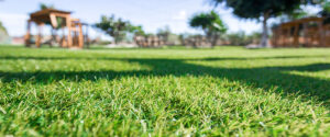 artificial grass infill finishing installation