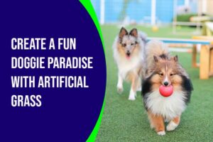 Create a Fun Doggie Paradise with RealTurf USA Artificial Grass