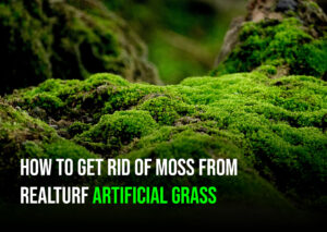 Easy Moss Removal Guide for RealTurf Artificial Grass Installation