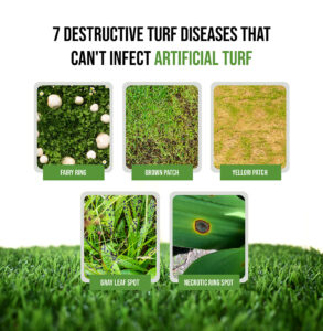 7 Destructive Turf Diseases That Cant Infect Artificial Turf