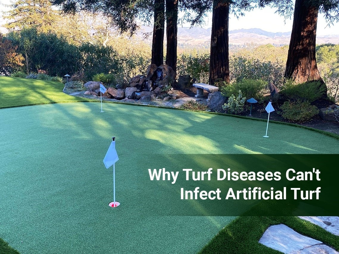 Why Turf Diseases Cant Infect Chicago Artificial Turf