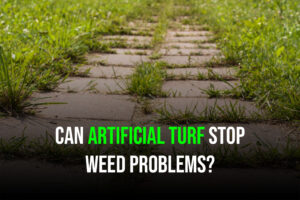 Can Artificial Turf Stop Weed Problems