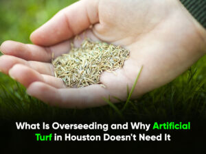 What Is Overseeding and Why Artificial Turf in Houston Doesnt Need It-r1