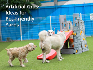 Artificial-Grass-Ideas-for-Pet-Friendly-Yards-rt2