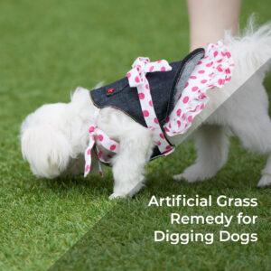 Artificial Grass Remedy for Digging Dogs - RT 3