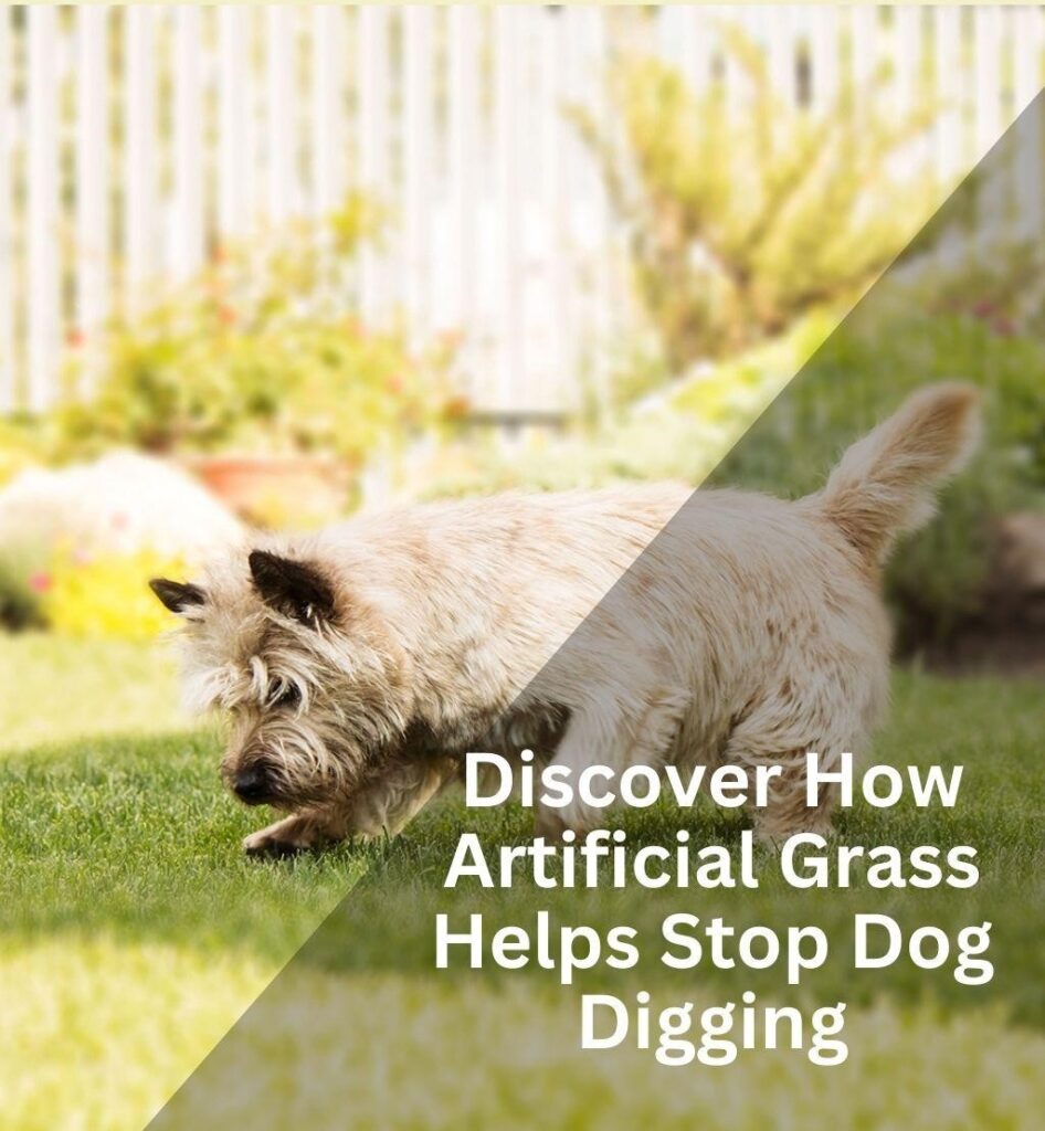 Does Artificial Grass Stop Dogs From Digging Up Lawns