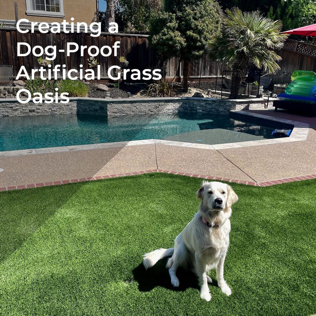 Creating a Dog-Proof Artificial Grass Oasis - realturf 1