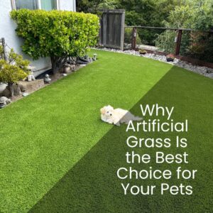 Why Artificial Grass Is the Best Choice for Your Pets - realturf 1