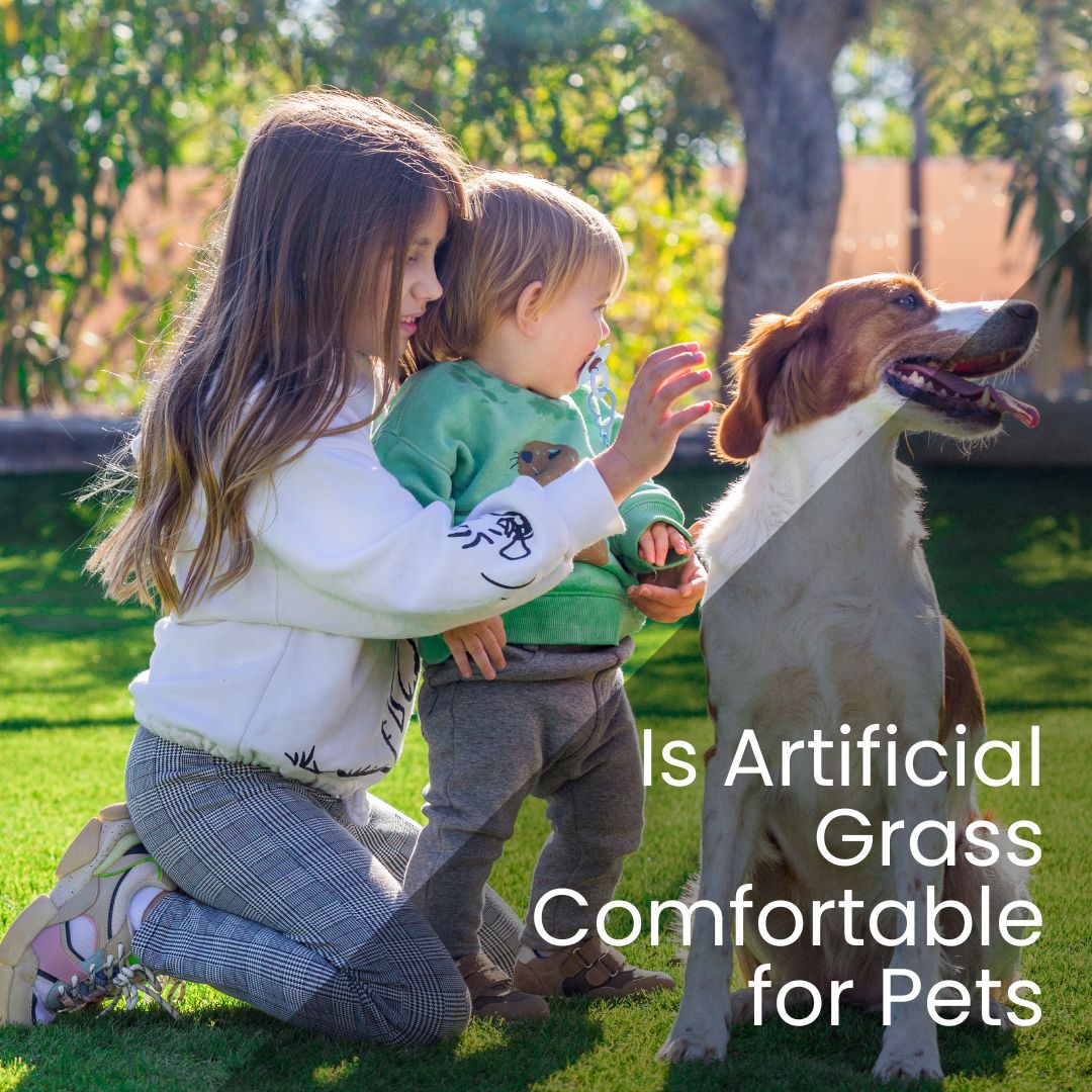 Is Artificial Grass Comfortable for Pets - realturf usa 1