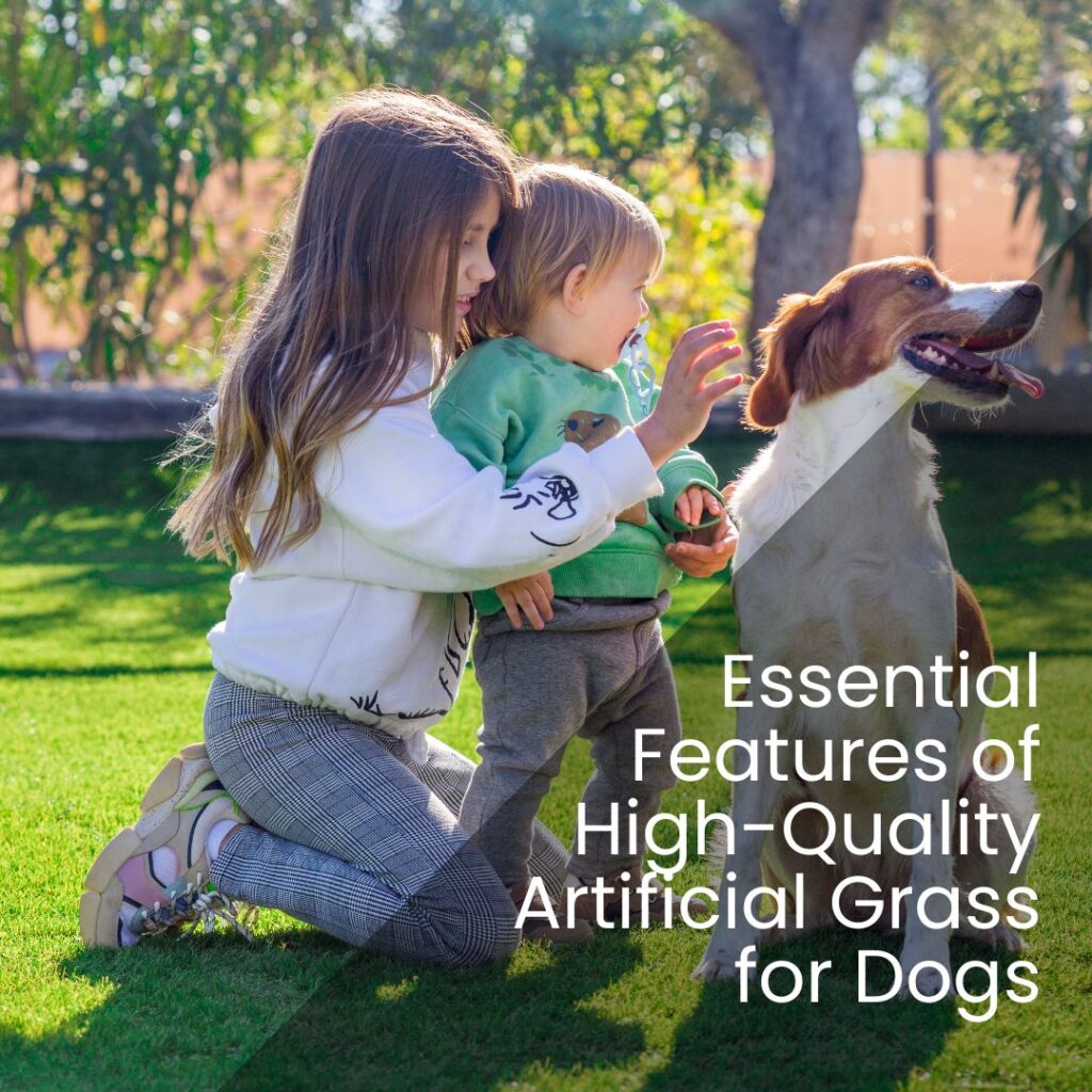 Essential Features of High-Quality Artificial Grass for Dogs - realturf usa 1