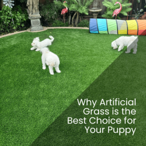 Why Artificial Grass is the Best Choice for Your Puppy - realturf usa 2