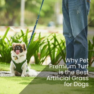 Why Pet Premium Turf is the Best Artificial Grass for Dogs