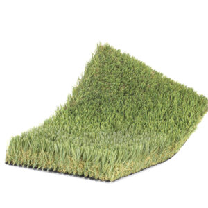 ECO D