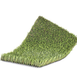 ECO P