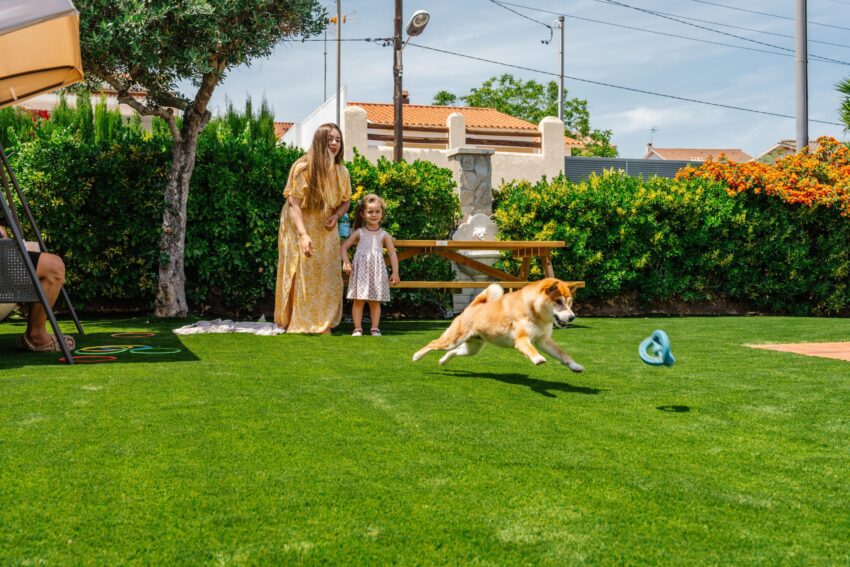 Hidden Parks and Dog-Friendly Spaces Using Synthetic Turf in Houston, Dallas, West Palm Beach, and Las Vegas