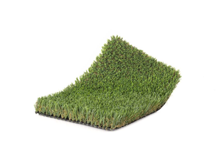 US-Pet-Premium-01-scaled