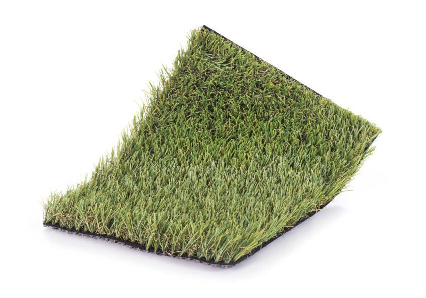 Moss-Product Photo