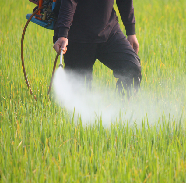 Alergia pesticidas césped