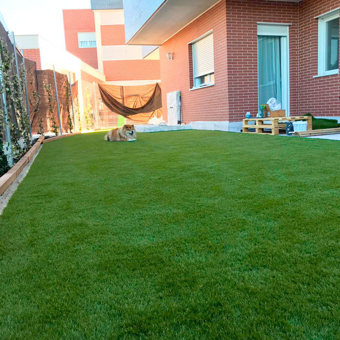 Artificial grass Realturf Toledo
